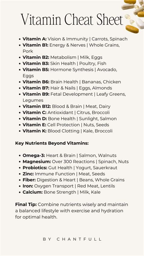 Holistic Health Hack The Ultimate Vitamin Cheat Sheet Chantfull