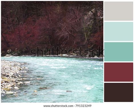 Color Palette Harmonious Combination Colors Color Stock Photo 791323249