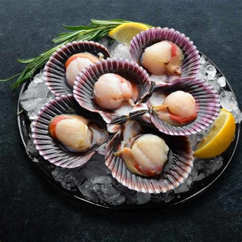 King Scallops With Roe Fresh And Online