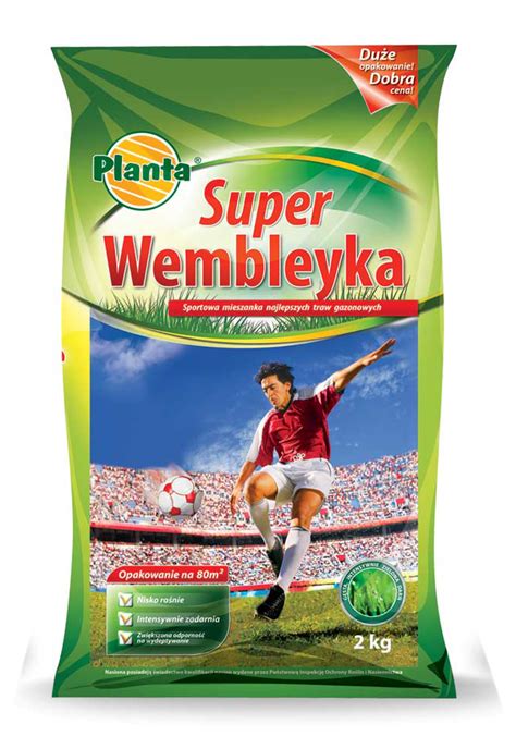 Trawa Super Wembley Kg Planta Planta Nasiona Traw Grupa Psb