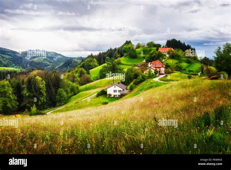 Beautiful Hill Landscape With Houses And Fir Trees Springtime In Black