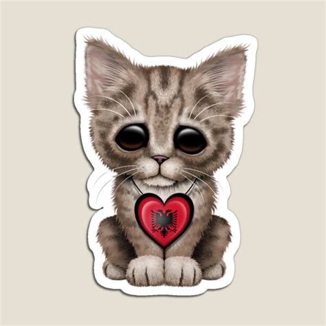 Cute Kitten Cat With Albanian Flag Heart Magnet For Sale By Jeff