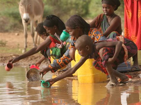 Al año 3 5 millones de personas mueren por falta de agua