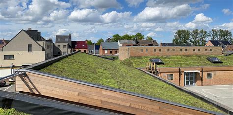 Green Roof For Primary School Gom In Meerdonk Belgium Sempergreen