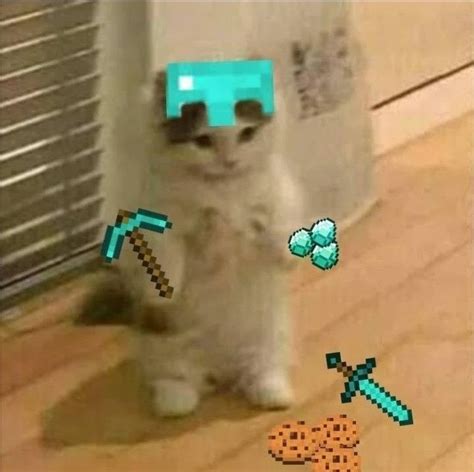 Minecraft Kedyy Pp En Meme Gato Perros De Minecraft Gato Minecraft