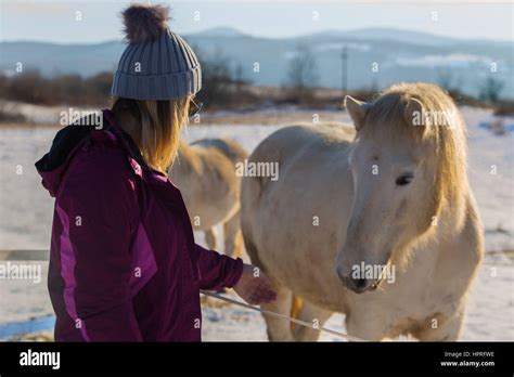 Stable Girls Hi Res Stock Photography And Images Alamy