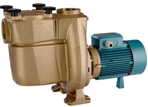 Pompa Calpeda Nmp Series Self Priming Centrifugal Pumps