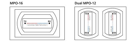 Why Are 800g Optical Modules Important For Ai