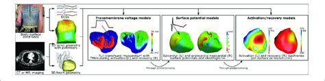 Electrocardiographic Imaging Requires Recording Of Body Surface