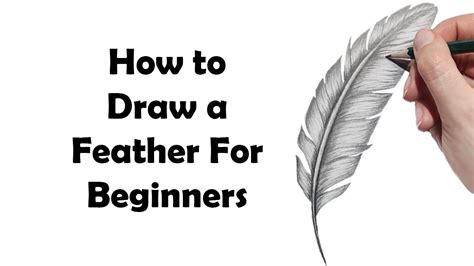 How To Draw A Realistic Feather Step By Step For Beginners Youtube