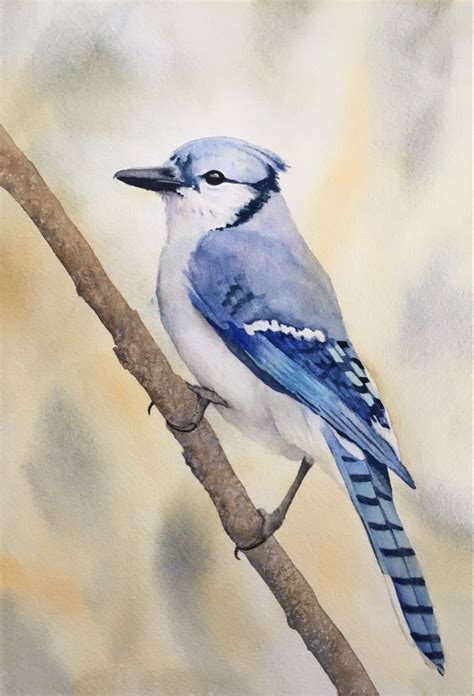 Bluejay In Watercolor In 2024 Wildlife Art Bird Art Blue Jay