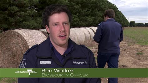 Working As A Biosecurity Officer Youtube