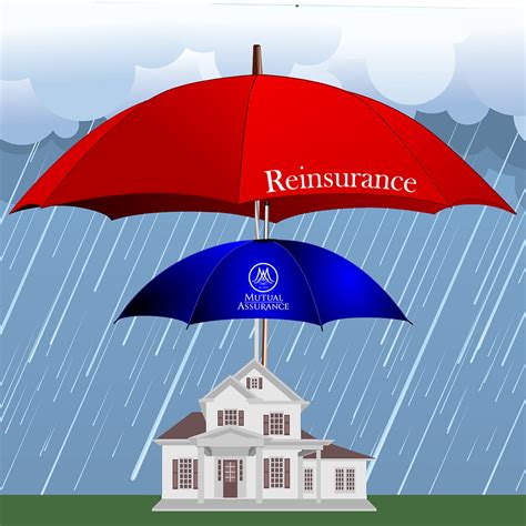 reinsurance    impacts