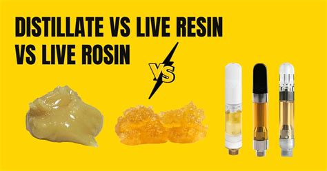 Distillate Live Resin Live Rosin What S The Difference