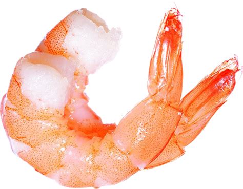 Shrimp PNG Images Transparent Background | PNG Play