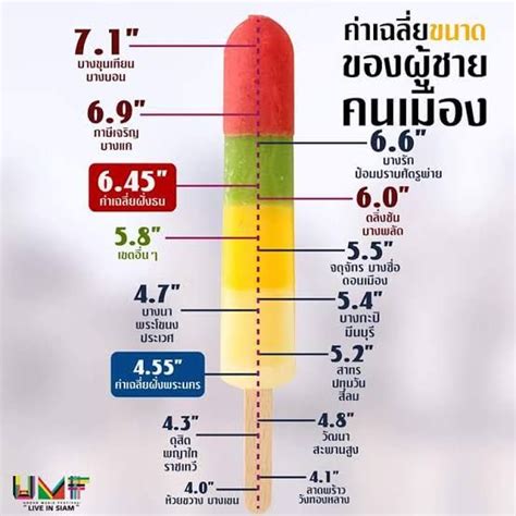 [sex Education] ผู้ชายส่วนใหญ่เป็นกังวลเกี่ยวกับลักษณะเฉพาะของอวัยวะเพศ