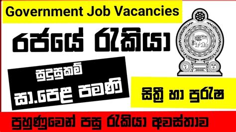 Government Job Vacancies In Srilanka New Job Vacancies