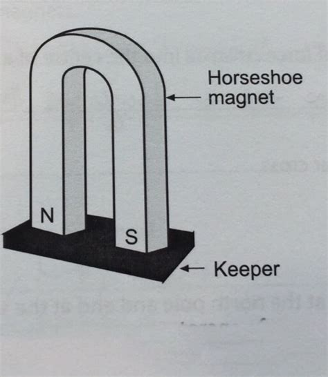 Magnetism Basics Flashcards Memorang