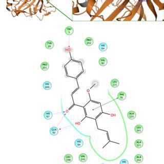 D Top And D Bottom Ligand Interaction Diagrams For Xanthohumol At