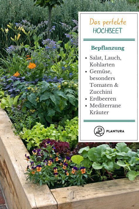 10 Tipps für das perfekte Hochbeet Plantura Garden types