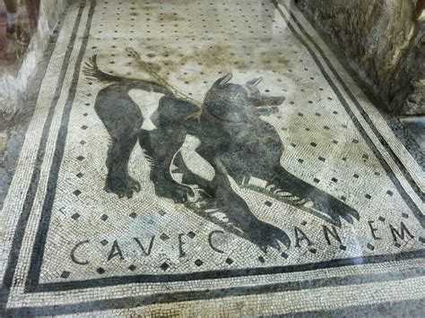 Cave Canem Mosaic Pompeii · See Pompeii