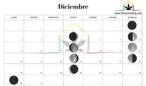 Calendario Lunar Cann Bico Themariashop