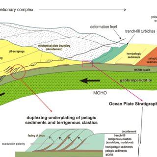 Pdf Pacific Type Orogenic Belts Linking Evolution Of Oceans Active