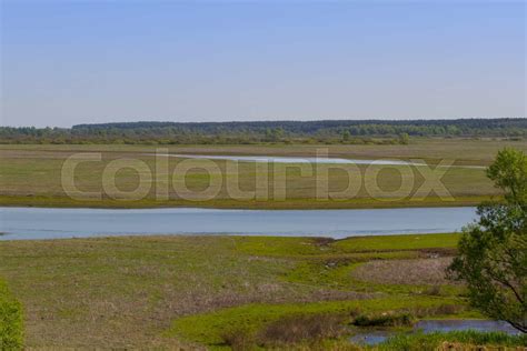 Wonderful Landscape In Marshy Woodland In Northern Ukraine Stock