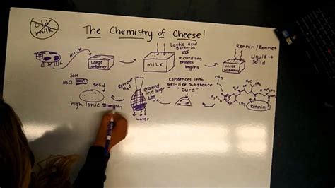 The Chemistry Of Cheese Youtube