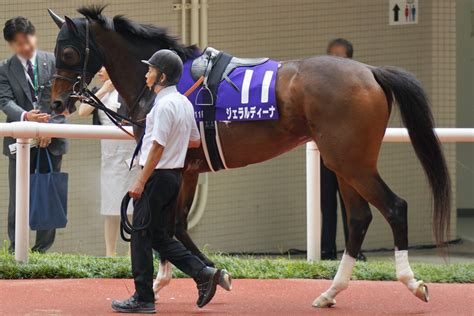 「懲罰交代」でg1馬の手綱を武豊に献上度重なる失態で灸を据えられた若手騎手に信頼回復のチャンス到来 Gj