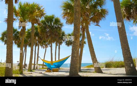 Romantic Couple Relaxing In Tropical Hammock Stock Photo Alamy