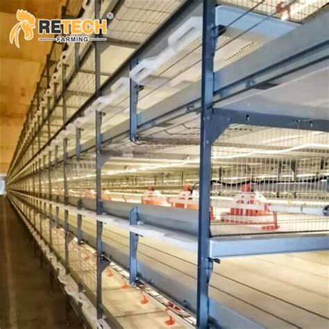 China Zambia Poultry Farming Equipment 3 4 Tiers Battery Cage System