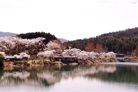 中津川市のキャンプ場／中津川市