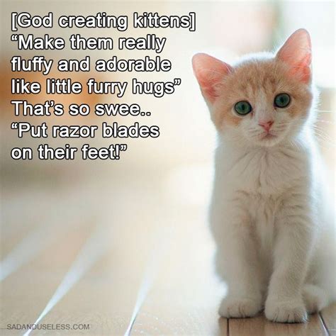 How God Created Animals Artofit