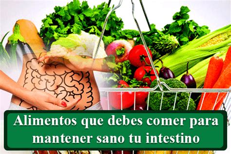 Alimentos Que Debes Comer Para Mantener Sano Tu Intestino Tapas Delight