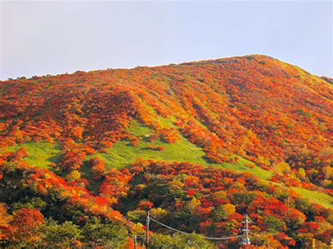 10～11月に行きたい！紅葉が美しい温泉地ランキングbest5 温泉 All About