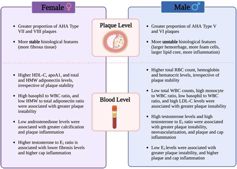 Circulating Sex Specific Immune And Hormone Markers Of Carotid