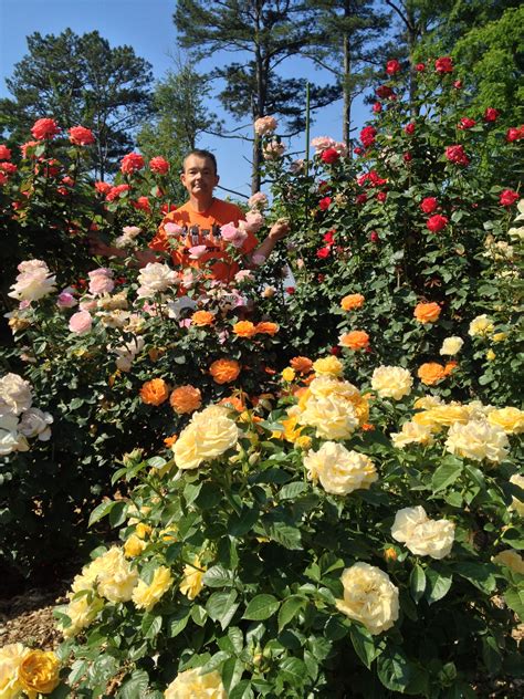 Ryan In Our Rose Garden L The Rose Gardener Garden Fountain Coming