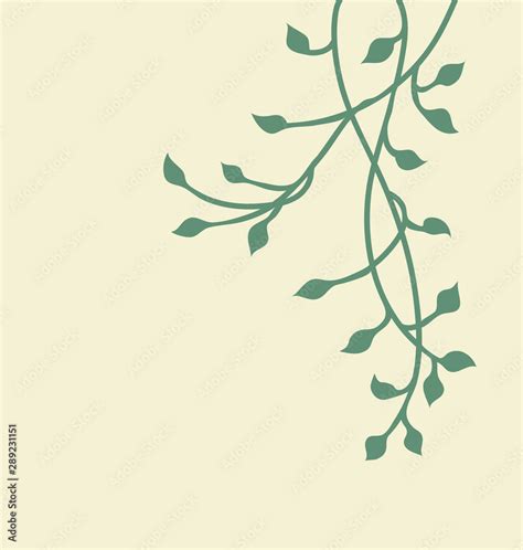 Green Vine Design