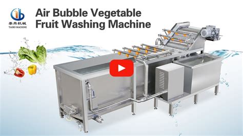 Air Bubble Vegetable Fruit Washing Machine For Factory Youtube