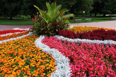 Flower Bed Photos Free Download