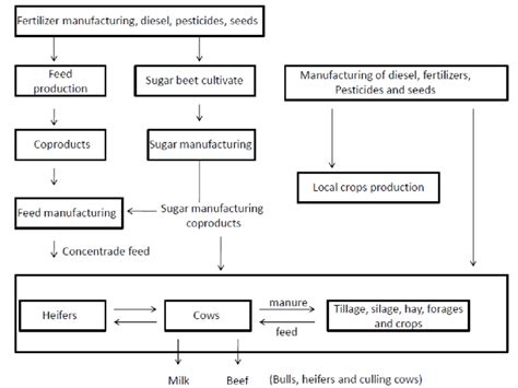 Life cycle of milk production in organic and conventional farms in ...