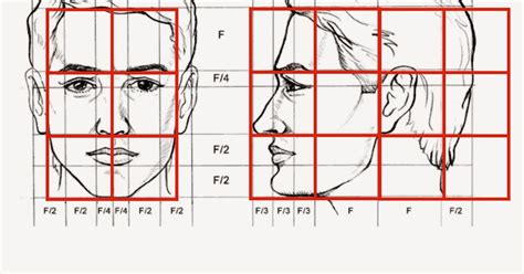 Lista Imagen Proporciones Del Rostro Humano Paso A Paso Mirada Tensa