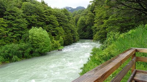 Actividades Imprescindibles Que Hacer En Bariloche Go Patagonic