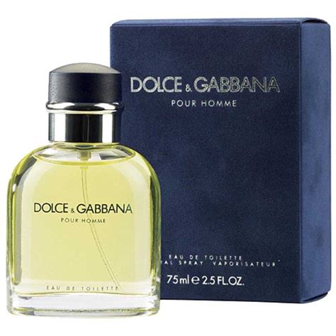 Dolce Gabbana Pour Homme Eau De Toilette 75ml Vapo Blue Dressinn