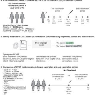 Overview of the analysis of Cerebral venous sinus thrombosis (CVST)... | Download Scientific Diagram