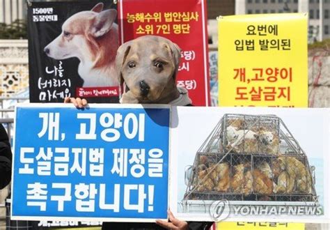 개 고양이 도살 반대 동물보호법 개정안 통과 촉구하는 참석자들 네이트 뉴스