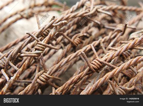 Barbed Wire Rusty Image And Photo Free Trial Bigstock