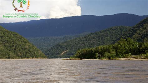 Presidencia de la República aprobó Estrategia Nacional sobre Bosques y