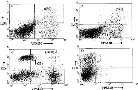 Two Color Flow Cytometry Analysis Of Bovine Pbm Stained As Detailed